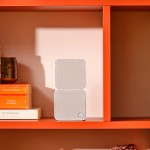 Cambridge Audio MSX 20