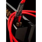 CHORD ShawlineX ARAY