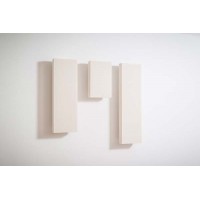 RW Acoustics Professional